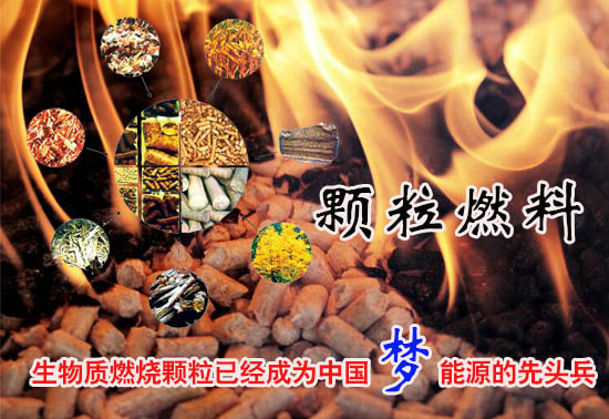 生物質(zhì)燃料顆粒多少錢一噸！