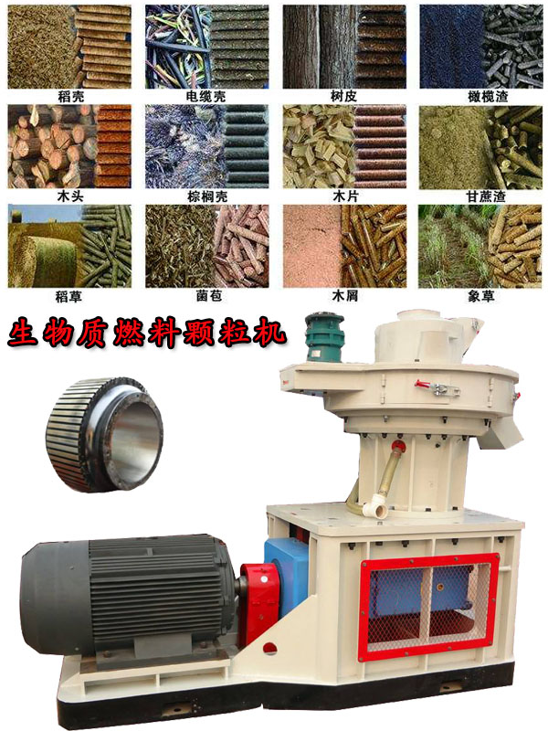 國內(nèi)外生物質(zhì)燃料顆粒機應(yīng)用現(xiàn)狀的疑問！